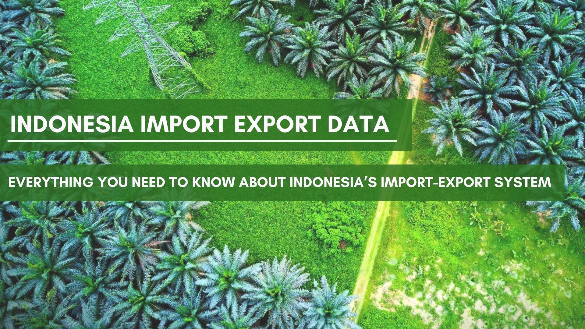 Indonesia Import Export Data: Everything you need to know about Indonesia’s import-export system