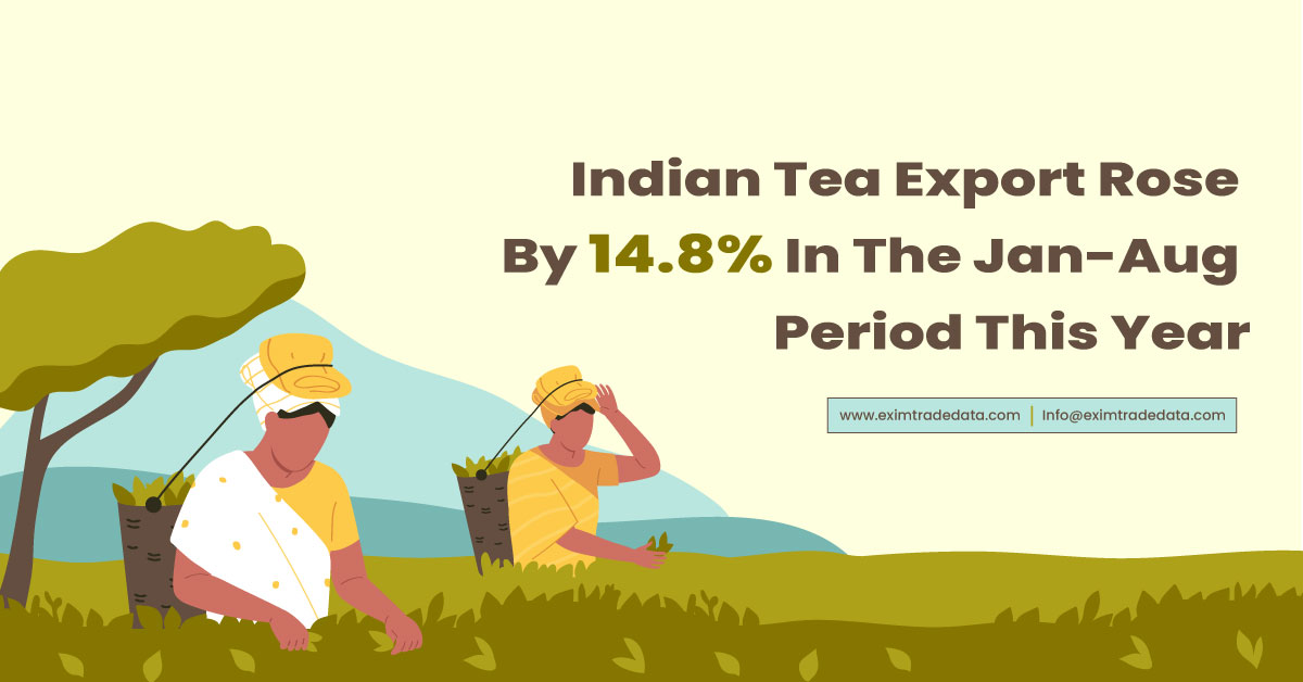 Indian Tea Export Rose By 14.8% In The Jan-Aug Period This Year